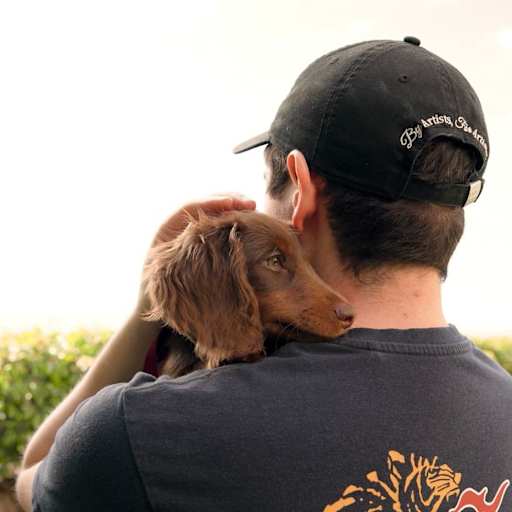 Profile image for pet sitter Fernando