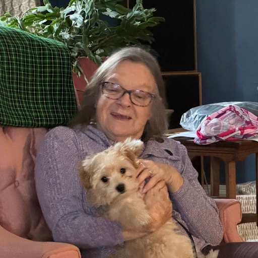 Profile image for pet sitter Janet