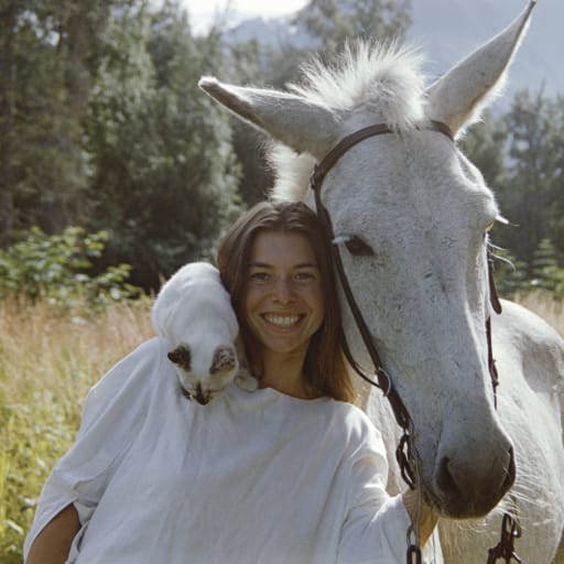 Profile image for pet sitter Elyse
