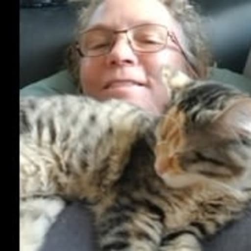 Profile image for pet sitter Joleen