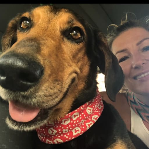 Profile image for pet sitter Laurel