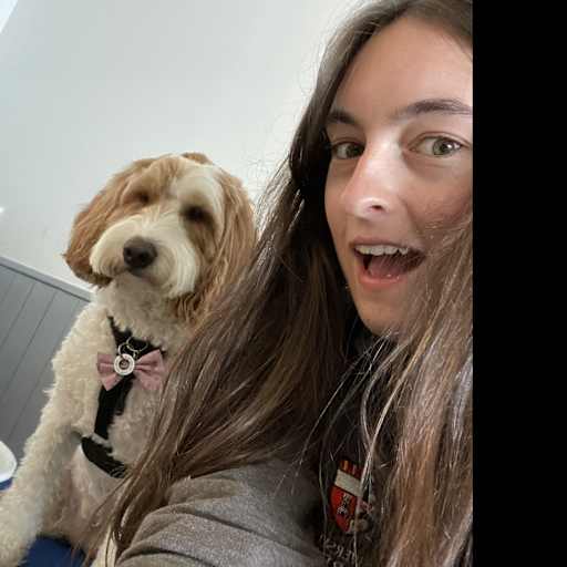 Profile image for pet sitters Molly & Ruth