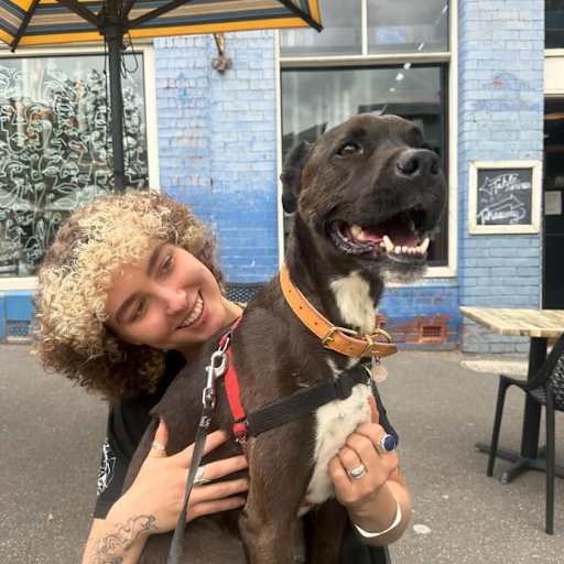 Profile image for pet sitter Skye