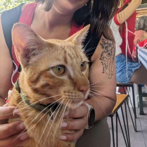 Profile image for pet sitters Diana Sofia & Samuel