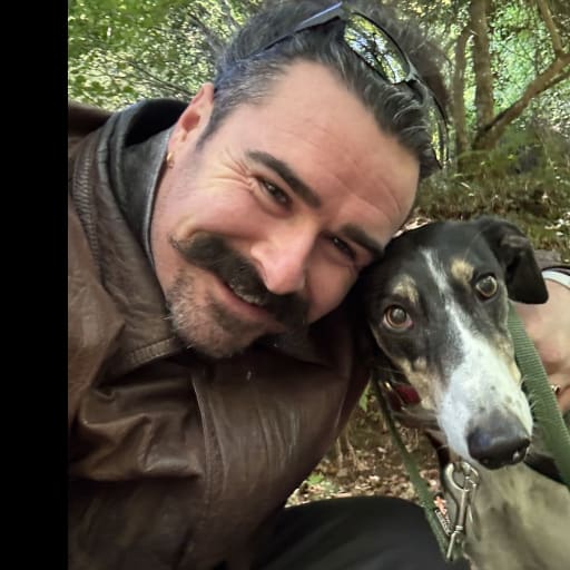 Profile image for pet sitter Darragh