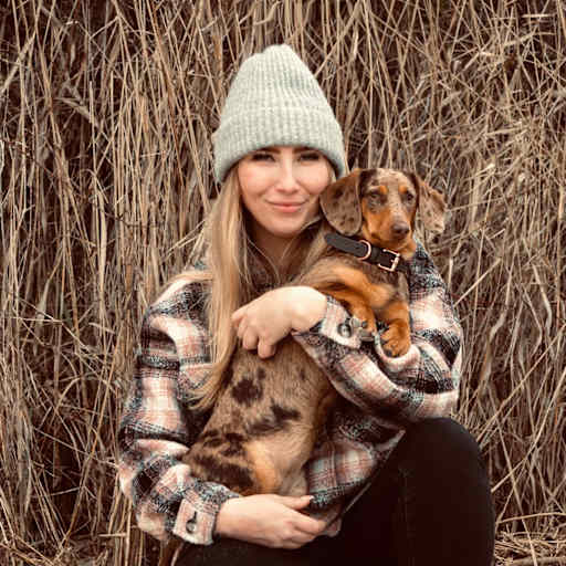 Profile image for pet sitter Layla