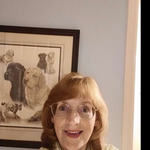 Profile image for pet sitters Karan & David