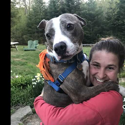 Profile image for pet sitter Bethann