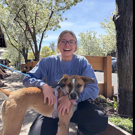 Profile image for pet sitters Tacey & Samuel