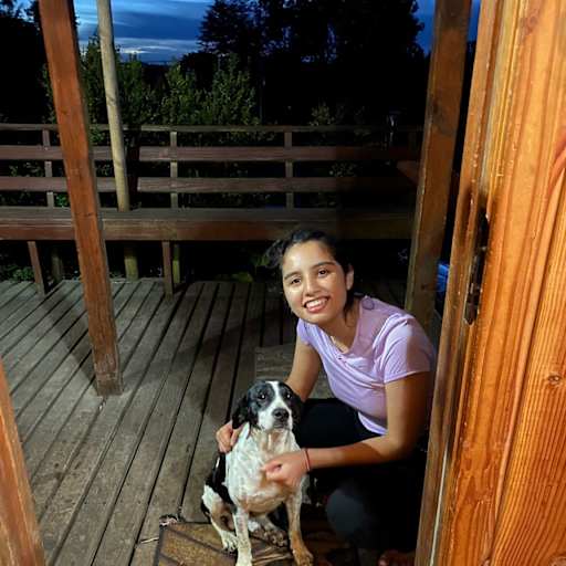 Profile image for pet sitters Pablo & Fernanda