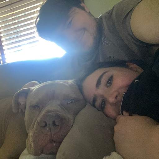 Profile image for pet sitter Oliver
