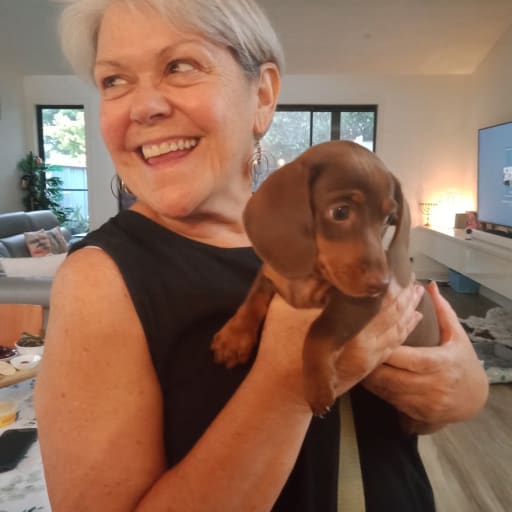 Profile image for pet sitter Jenni