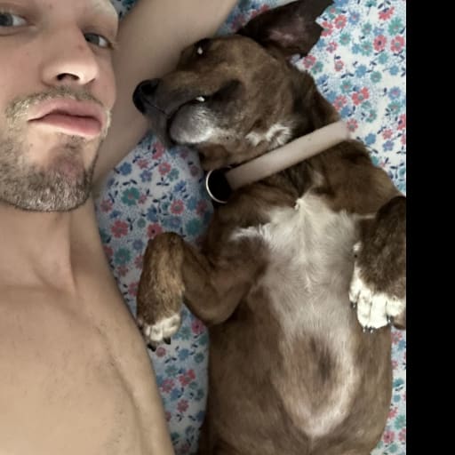 Profile image for pet sitter Daniele