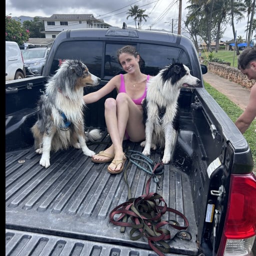 Profile image for pet sitters Emme & Grant