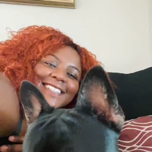 Find a Pet Sitter in Amsterdam, Netherlands