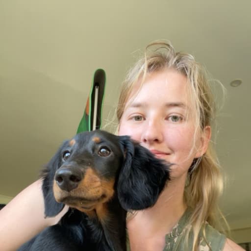 Profile image for pet sitters shara & Bobby