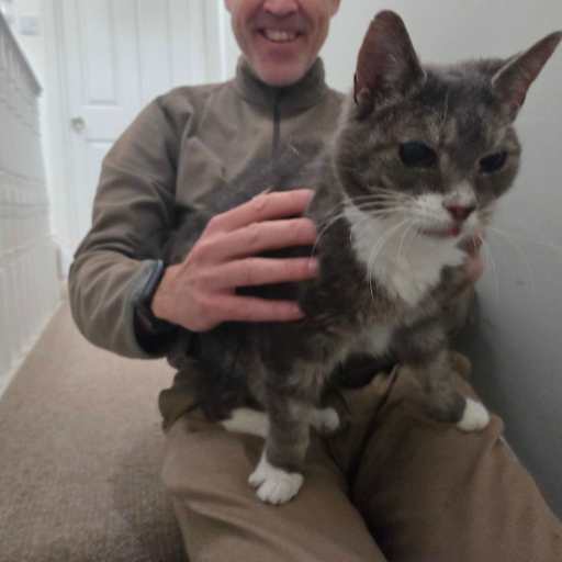 Profile image for pet sitter Mark