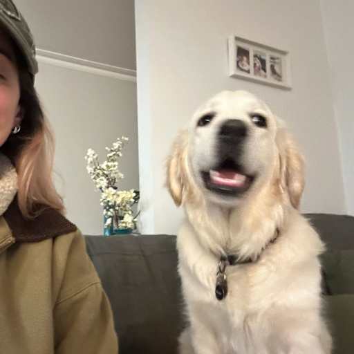 Profile image for pet sitter Rosalie