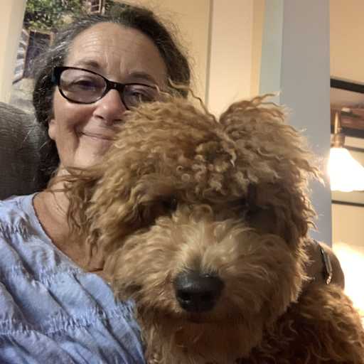Profile image for pet sitter Ruth