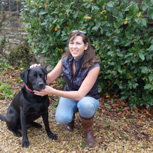 Profile image for pet sitter Sandra