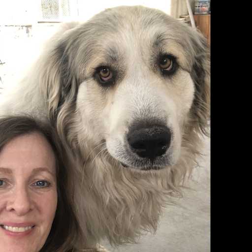 Profile image for pet sitter Geena