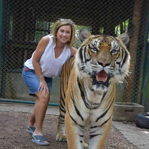 Profile image for pet sitter Sheri