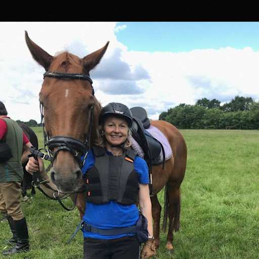 Profile image for pet sitter Silke