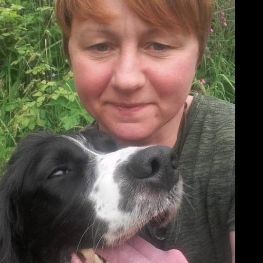 Profile image for pet sitter tracy
