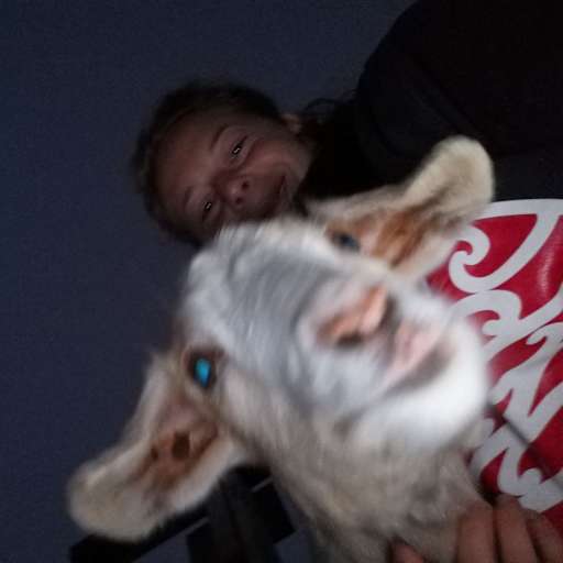 Profile image for pet sitter Lynn