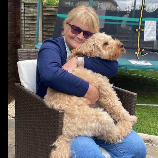Profile image for pet sitters Karen & John