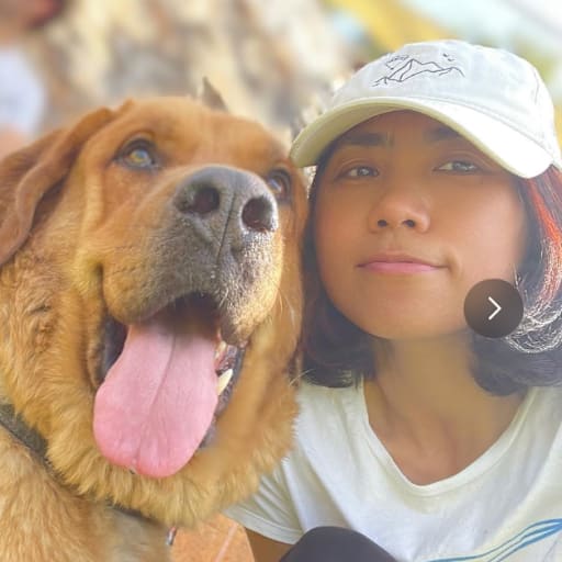 Profile image for pet sitter RUIQIN