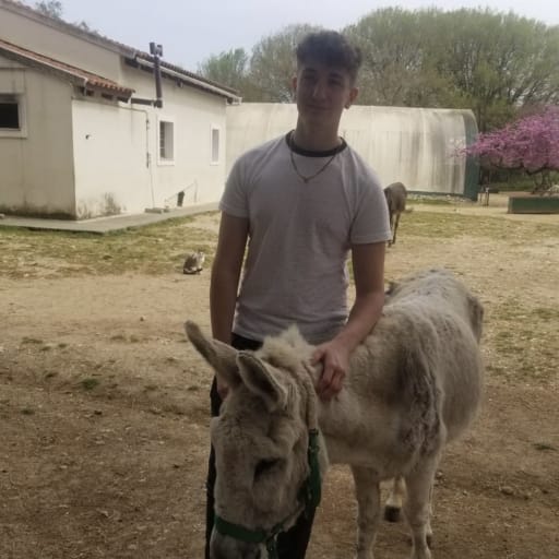 Profile image for pet sitter Sam