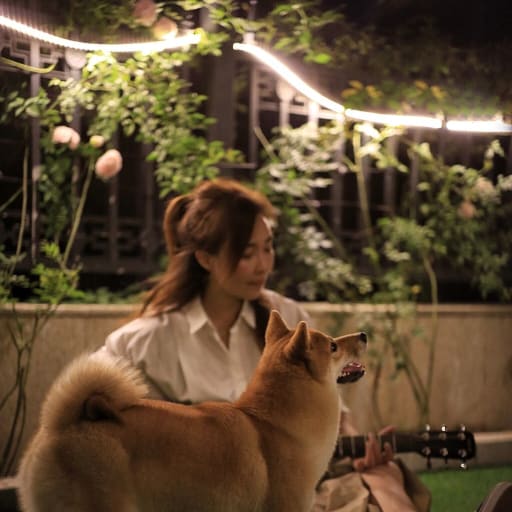 Profile image for pet sitter Kira