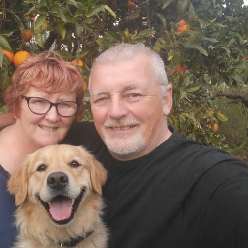 Profile image for pet sitters Harry & Marion