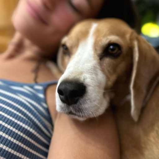 Profile image for pet sitter Elena