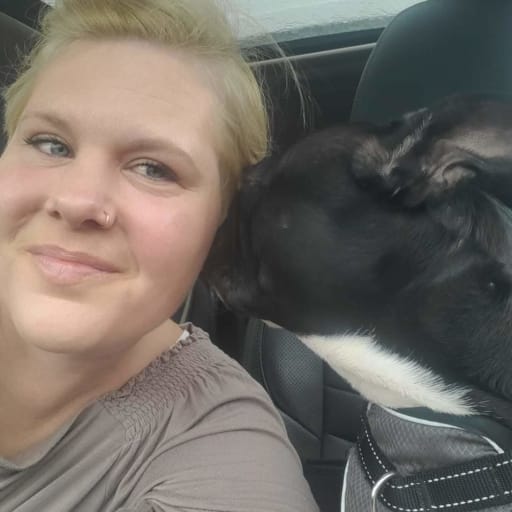 Profile image for pet sitters Jessica & Damien 