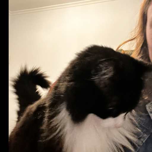 Profile image for pet sitter Louise