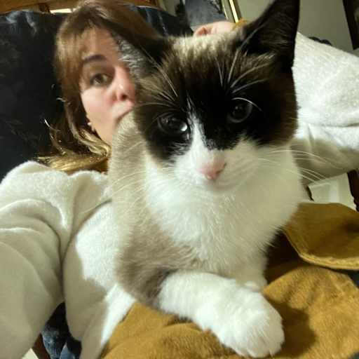 Profile image for pet sitter Alessandra