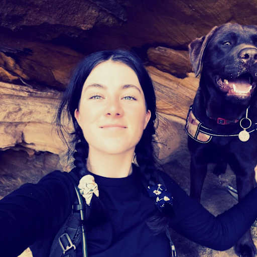 Profile image for pet sitter Boe