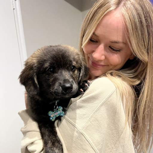 Profile image for pet sitters Lily & Olivia 