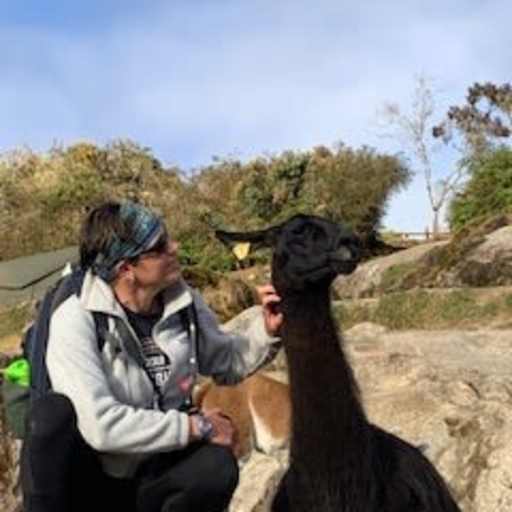 Profile image for pet sitter Kim