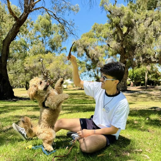 Profile image for pet sitter Joaquín