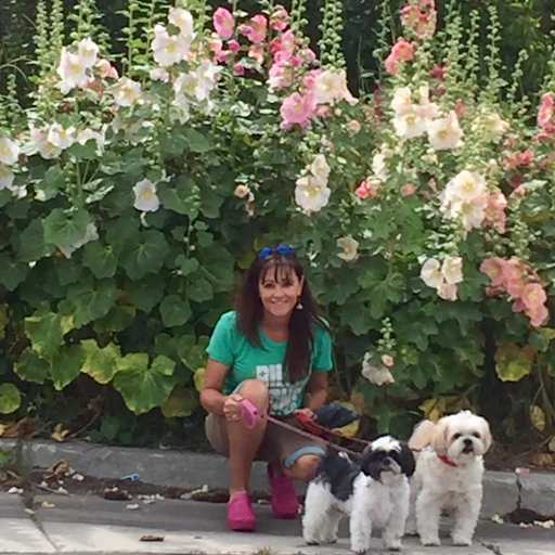 Profile image for pet sitters Christy Martin & Ted