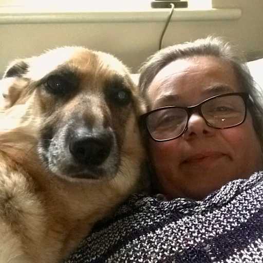 Profile image for pet sitter Heidi