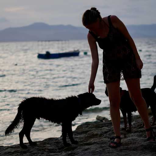 Profile image for pet sitter Shannan