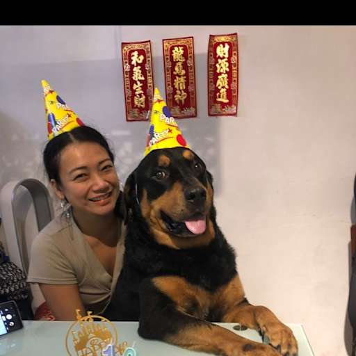 Profile image for pet sitter Pou na