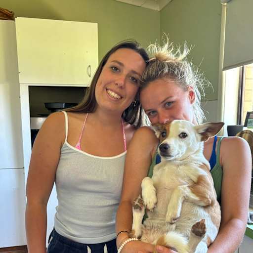 Profile image for pet sitters Charlotte & Annabelle
