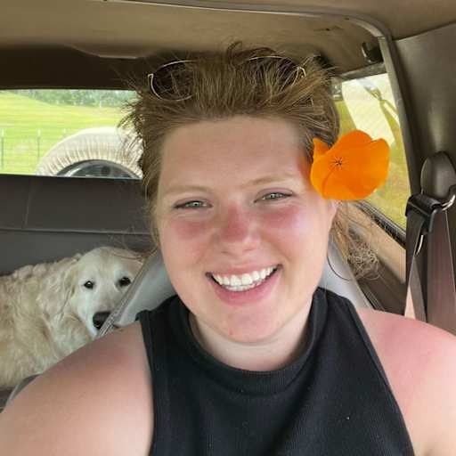 Profile image for pet sitter Alyssa