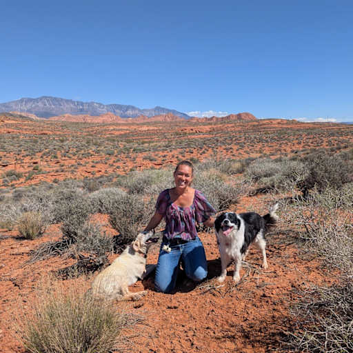 Profile image for pet sitter Chandy