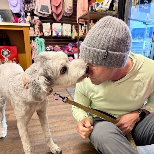 Profile image for pet sitter Will